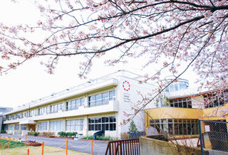 らぽっぽなめがたファーマーズヴィレッジの桜写真１