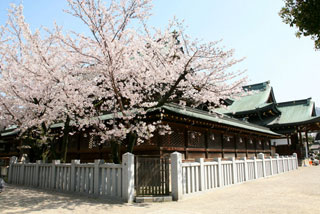 大阪天満宮の桜写真１
