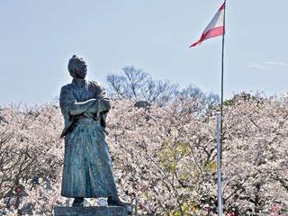 風頭公園の桜写真１