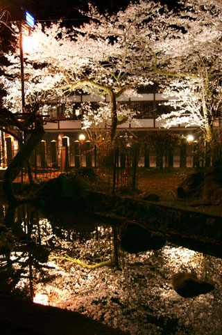 肥後一の宮阿蘇神社の写真３