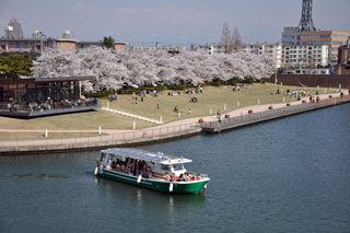 富岩運河環水公園の桜写真１