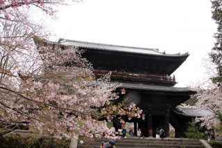 南禅寺の桜写真１