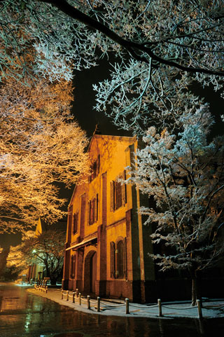 石川県立歴史博物館の桜写真１