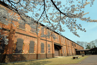石川県立歴史博物館の桜写真２
