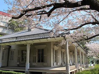 東山手十二番館の桜写真１