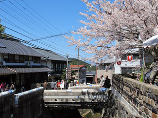 陶郷中尾山の桜写真２