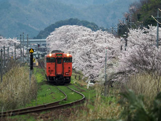 若桜鉄道の写真３