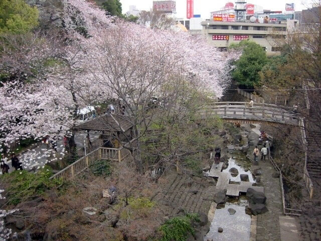 「音無親水公園(東京都北区王子本町1-1)」の画像検索結果
