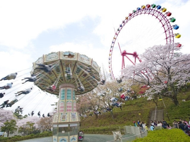 西武園ゆうえんちの桜 花見特集21