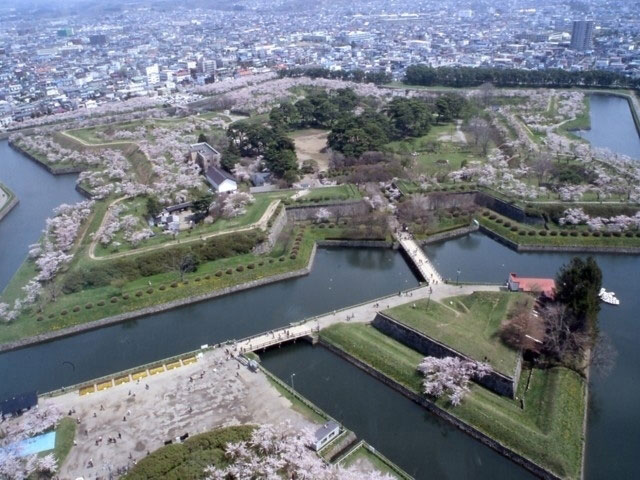 五稜郭公園の桜 花見特集21