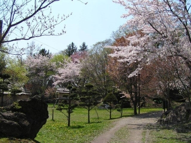 有珠善光寺自然公園の桜 花見特集21