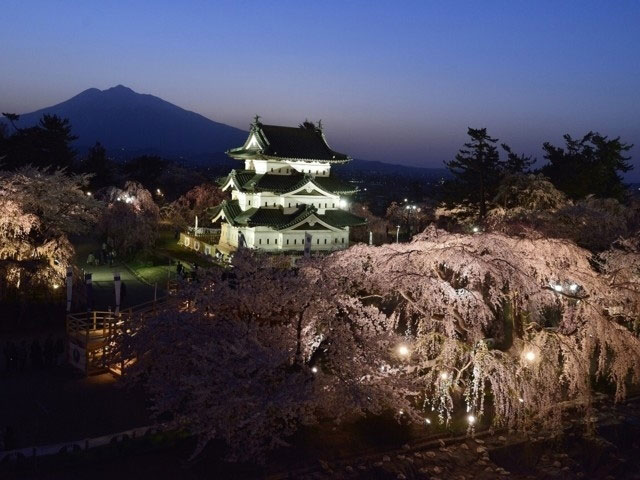 弘前公園の桜 花見特集21