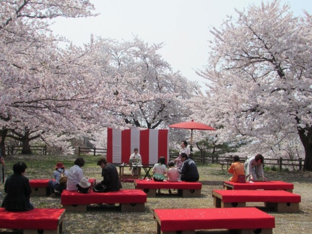 寒河江公園の桜 花見特集21