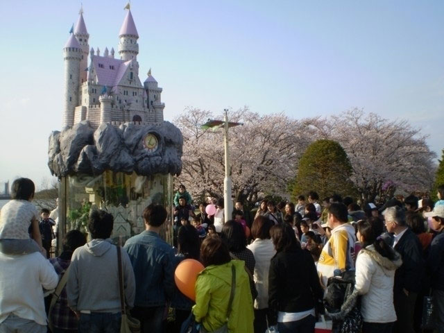 千葉こどもの国 キッズダムの桜 花見特集21