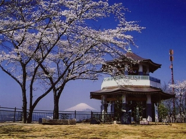弘法山公園の桜 花見特集21