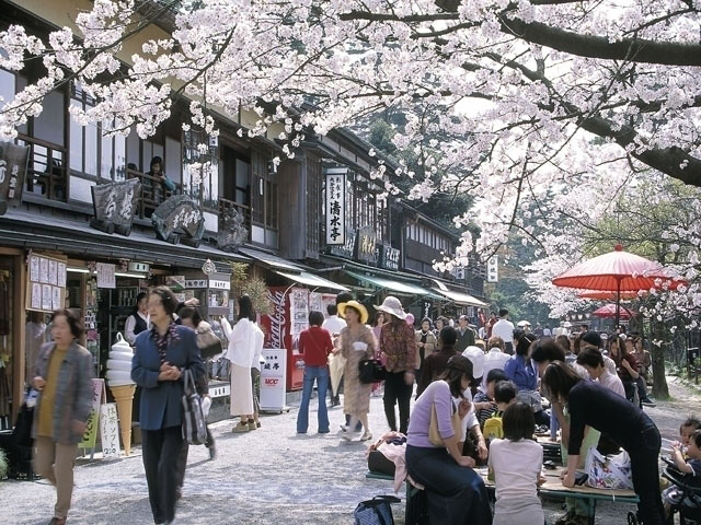 兼六園の桜 花見特集21