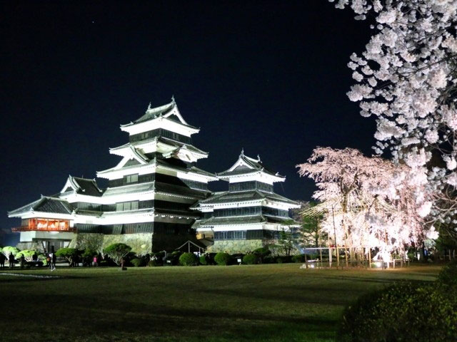 国宝 松本城の桜 花見特集21