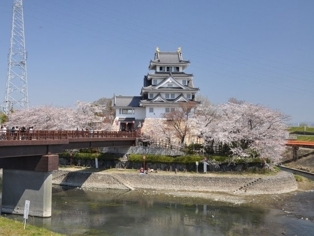 墨俣一夜城 犀川堤の桜 花見特集21