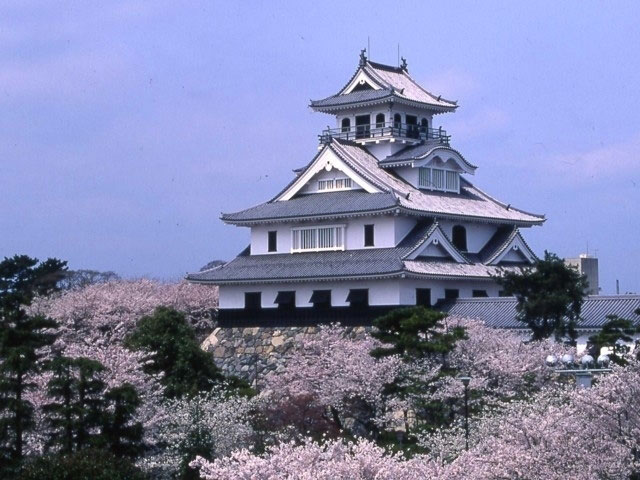 豊公園の桜 花見特集21