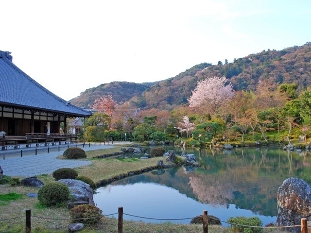 天龍寺の桜 花見特集21