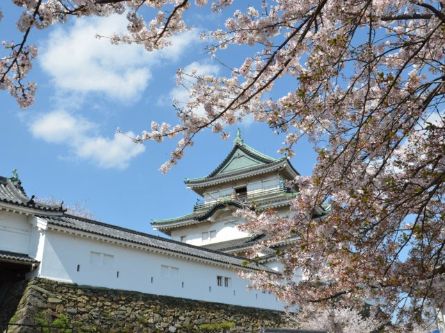 和歌山城の桜 花見特集21