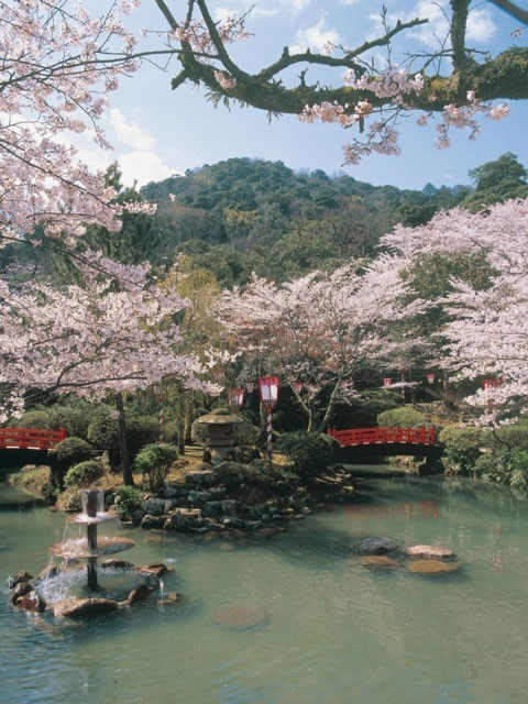 打吹公園の桜 花見特集21