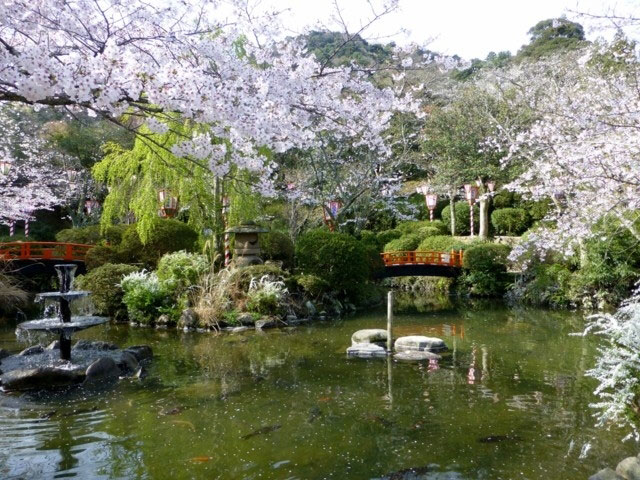 打吹公園の桜 花見特集21