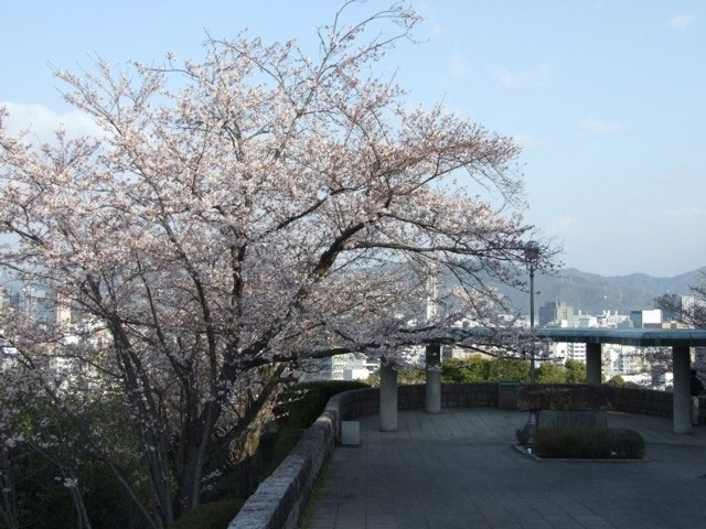 比治山公園の桜 花見特集21