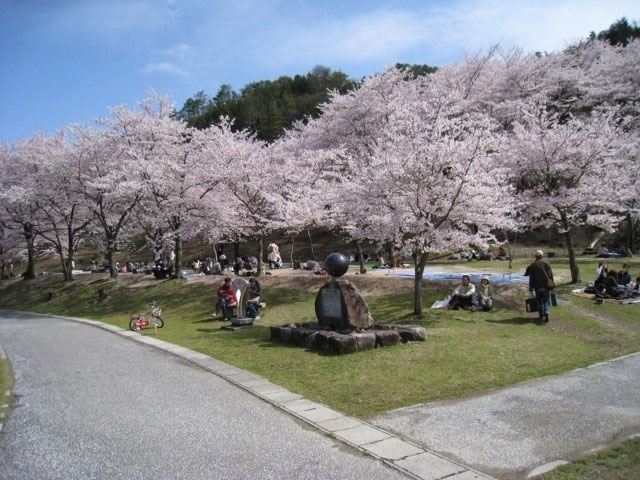 土師ダム 八千代湖周辺 の桜 花見特集21