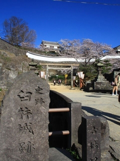 臼杵城跡の桜 花見特集21