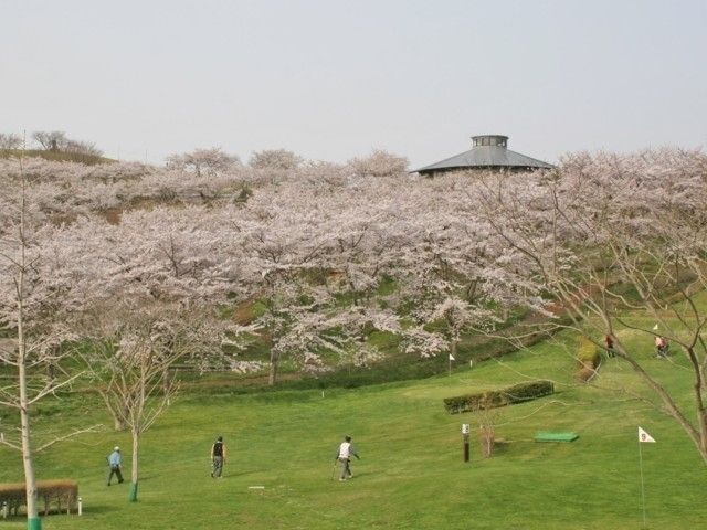加護坊山の千本桜 花見特集22