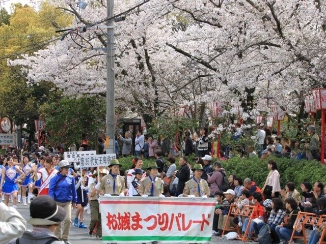 郡山城跡の桜 花見特集22