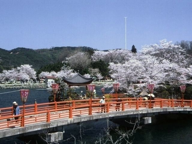 上野公園 広島県 の桜 花見特集22