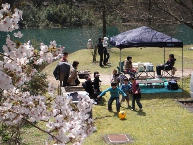 ふれあいパーク大原湖の桜 花見特集22