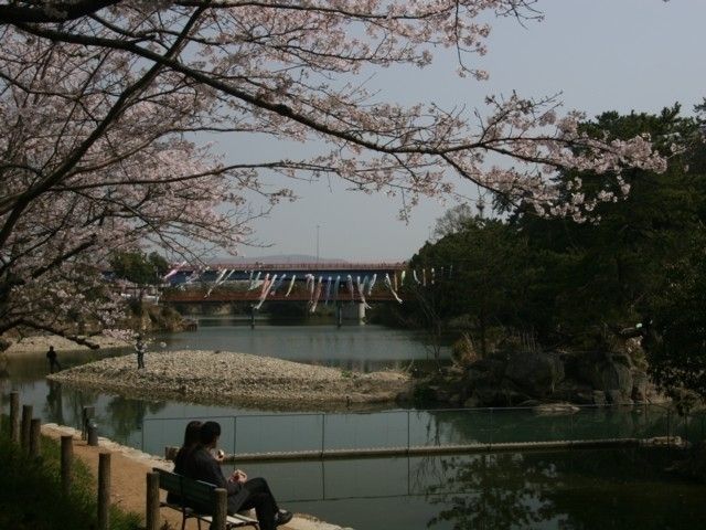 滝宮公園の桜 花見特集22