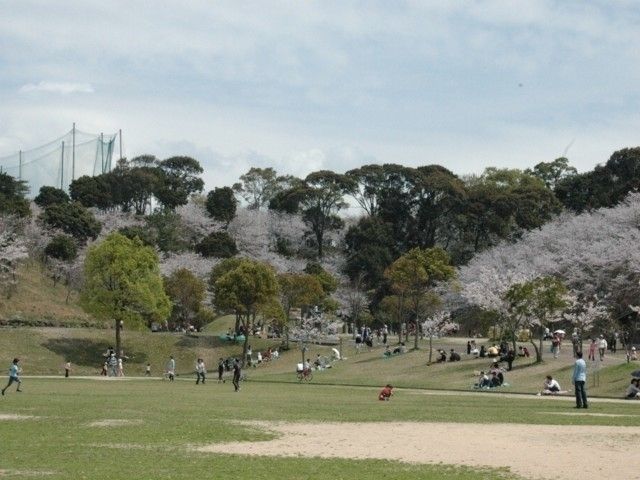 長崎市さくらの里 花見特集22