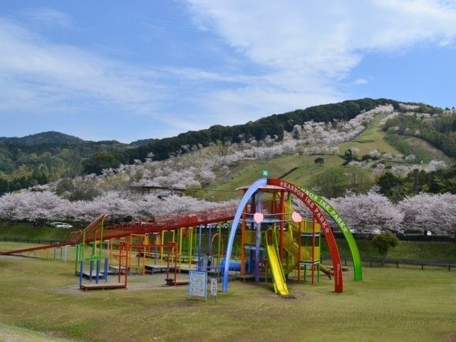 観音池公園の桜