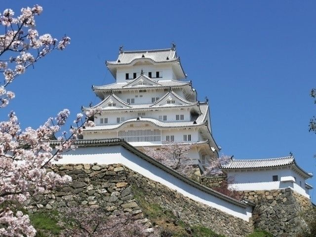 姫路城の桜