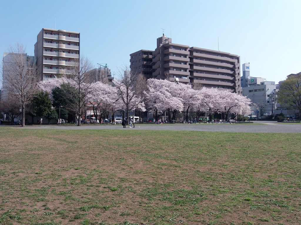 蒔田公園の広場