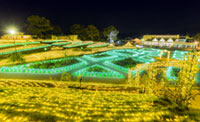 2018年は100万級規模にパワーアップ！茨城県フラワーパーク「バラの妖精が魔法をかける、光と音のファンタジー」