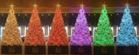 【シェラトン都ホテル大阪】フォトジェニックなクリスマス装飾を実施 2019年11月1日（金）～12月25（水）