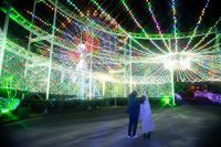 2019年のみろくの里ウィンターイルミネーションのテーマは「Do？ in the Park. 遊園地でなにする？」昨年の電球数110万球から140万球にグレードアップ!