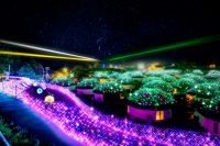 時之栖ウインターイルミネーション ひかりのすみか2019の見どころは？日本一の高さを誇る噴水ショー会場「王宮の丘」に新スポットも！