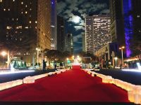 新宿中央公園を約3,000個のキャンドルで彩る無料の参加型イベント 12月20日・21日「Candle Night@Shinjuku Central Park -クロス-」開催