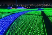2年目を迎えるTOKYO MEGA ILLUMINATIONは『虹色に輝く大噴水』『光の樹木と天空のオーロラ』『桜花に煌めく 100ｍの光のトンネル』などさらにスケールアップ