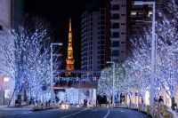 ＜六本木ヒルズクリスマスイベント情報 第1弾＞文化都心・六本木ヒルズを彩る東京の冬の風物詩『Roppongi Hills Christmas 2020』開催