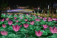 【沖縄：東南植物楽園】ひかりの散歩道2020-2021 南国イルミネーション開催