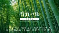 若竹の杜　若山農場で冬季限定ライトアップ　Bamboo Winter Lights 2020を開催します