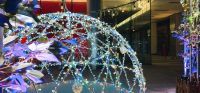 【クロスホテル札幌】「癒やし」をテーマに自然を感じる照明デザイン　街の活気を願う「2020年イルミネーション」の点灯開始