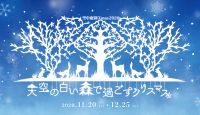 空中庭園 Xmas 2020 ~天空の白い森で過ごすクリスマス~